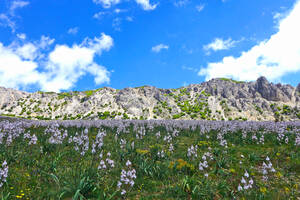 Parco delle Madonie ☀ Riserva naturale in Sicilia Parco delle Madonie ☀ Riserva naturale in Sicilia