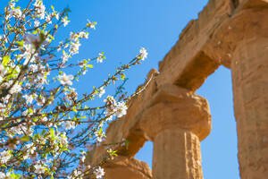 Marzo: primavera e mandorli in fiore ☀ Meteo in Sicilia Marzo: primavera e mandorli in fiore ☀ Meteo in Sicilia